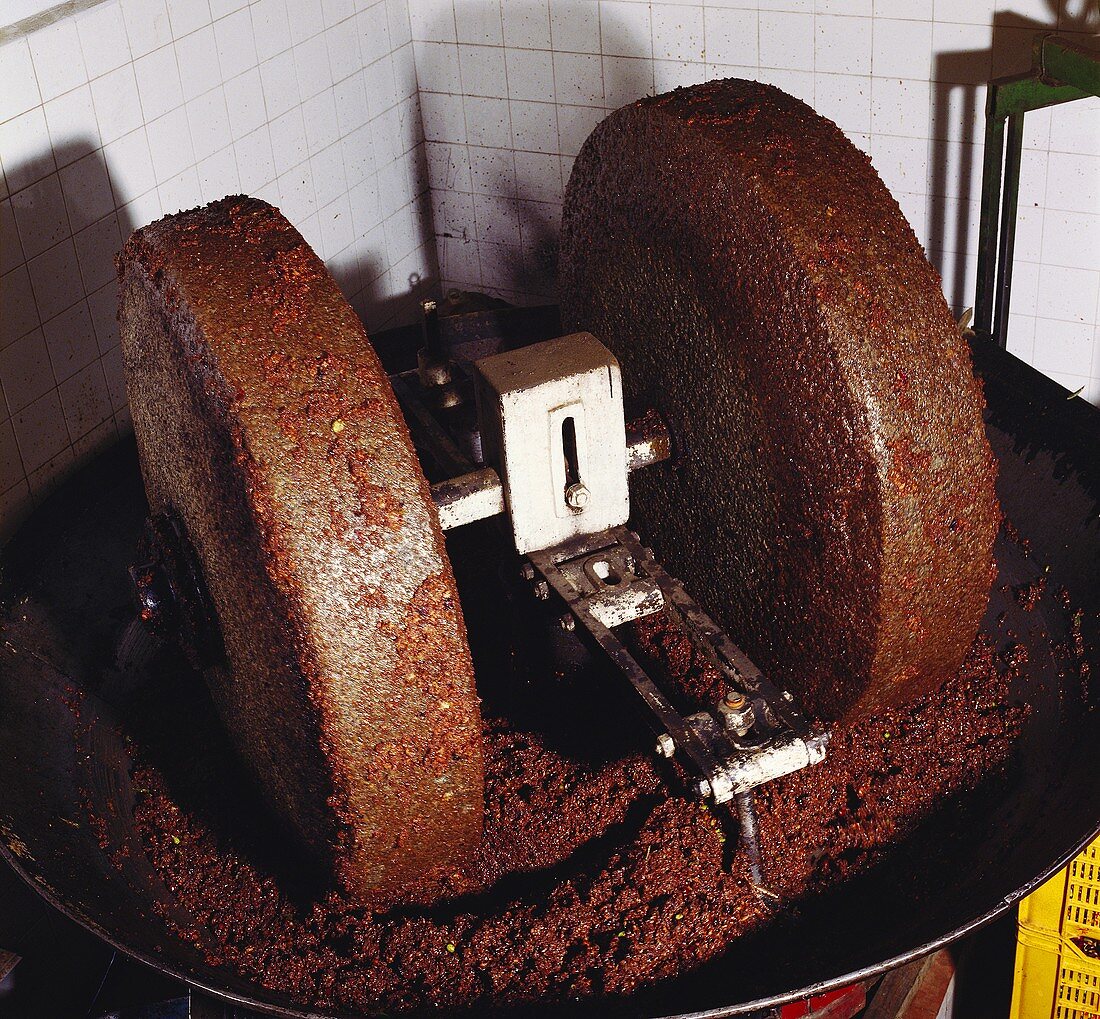 Olive press with olive pulp