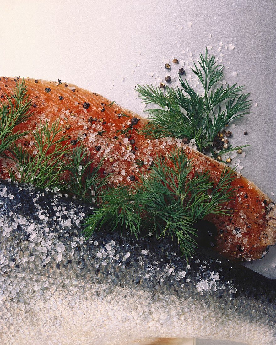 Gravad lax with salt and dill