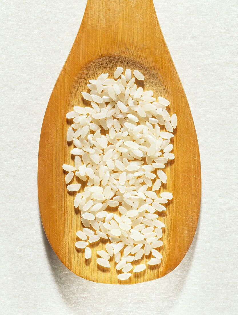 Short-grain rice on wooden spoon