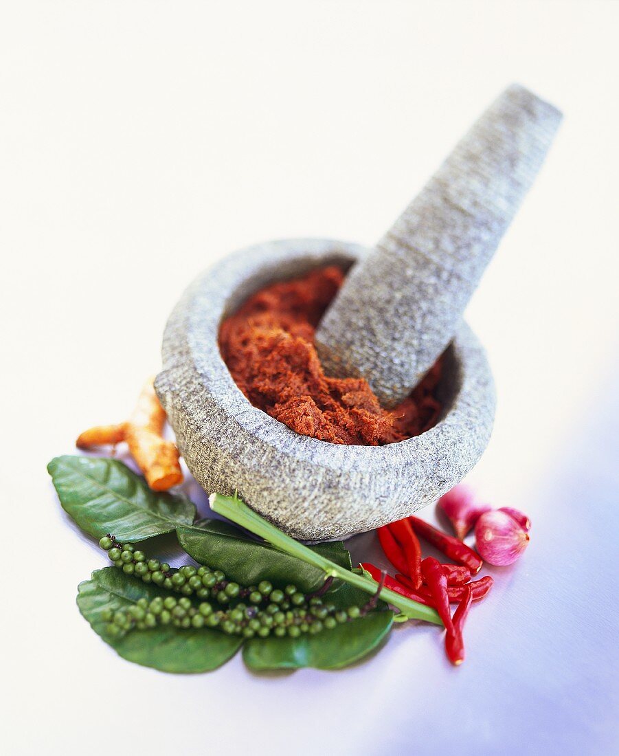 Curry paste in mortar, surrounded by various spices