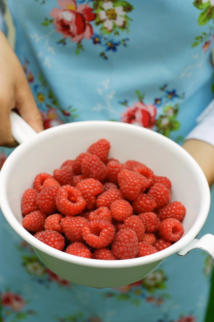 Hand hält Seiher mit frischen Himbeeren