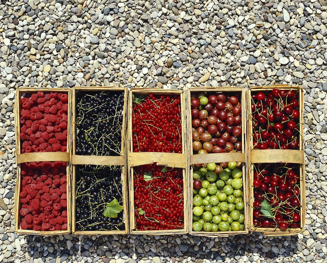 Berries and cherries in woodchip baskets