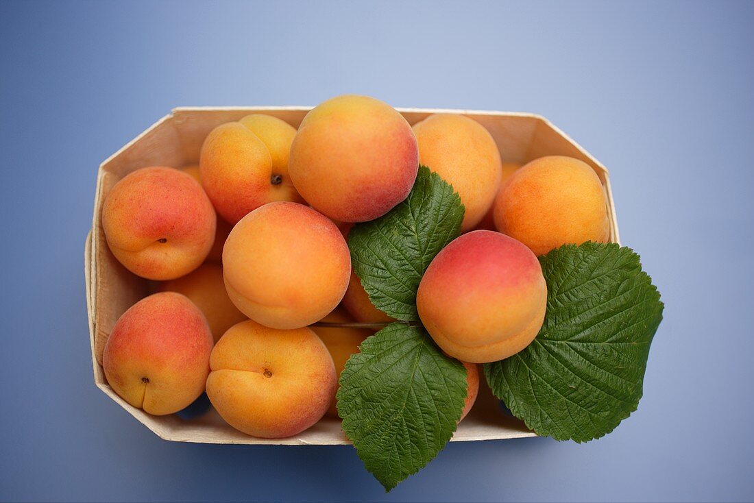 Fresh apricots in a woodchip box (overhead view)