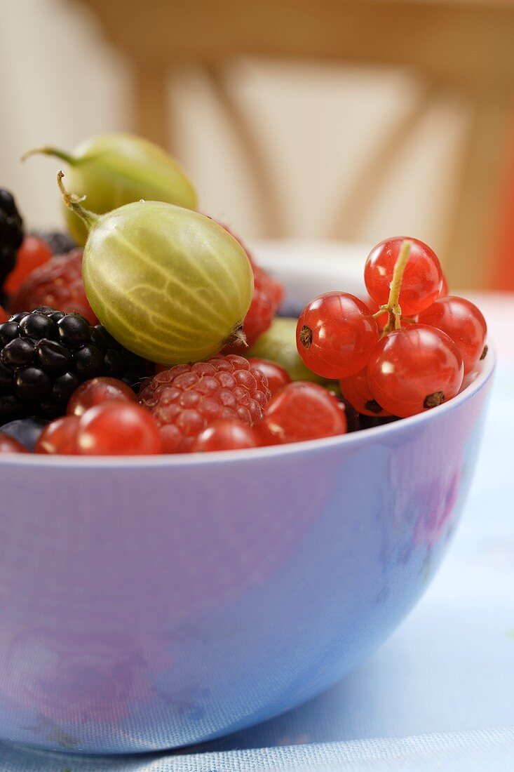 Bowl of mixed fresh berries