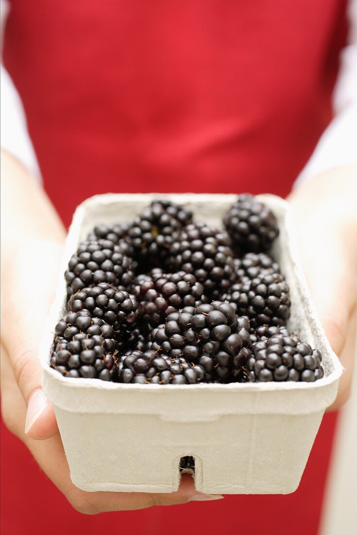 Hands holding a bowl of fresh blackberries