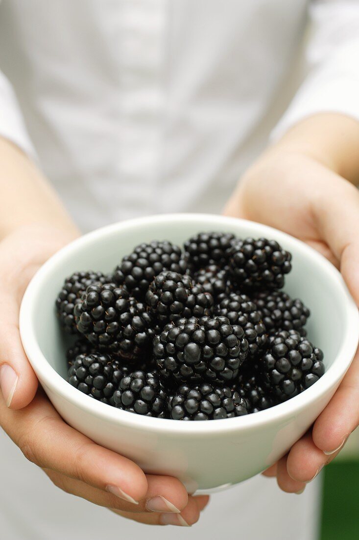 Hände halten Schüssel mit frischen Brombeeren