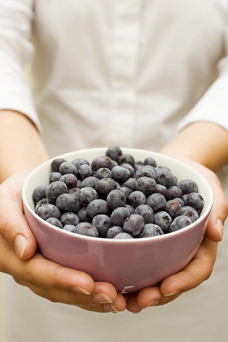 Hände halten Schüssel mit frischen Heidelbeeren