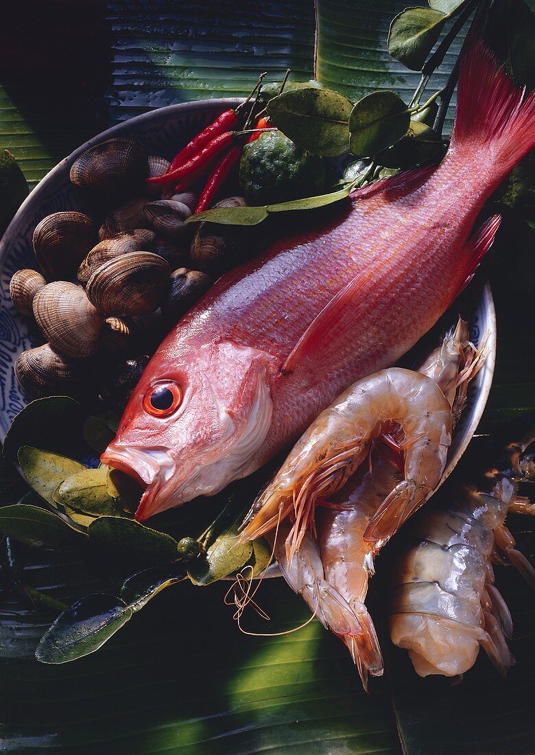 Raw Red Snapper; Shrimp and Clams Still Life