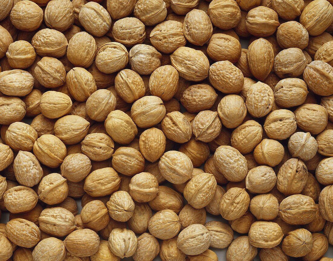 Walnuts (filling the picture)