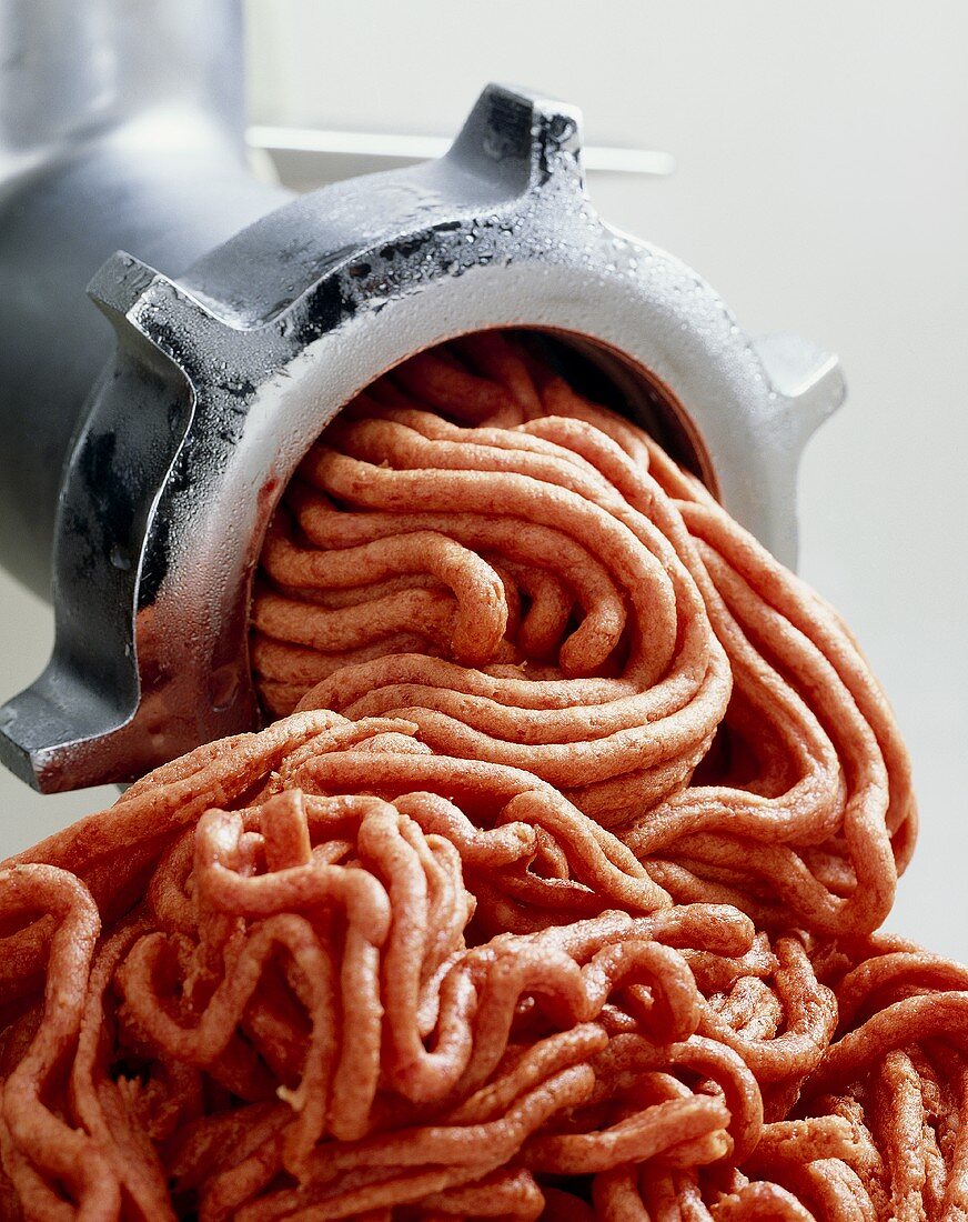 Minced meat in mincer