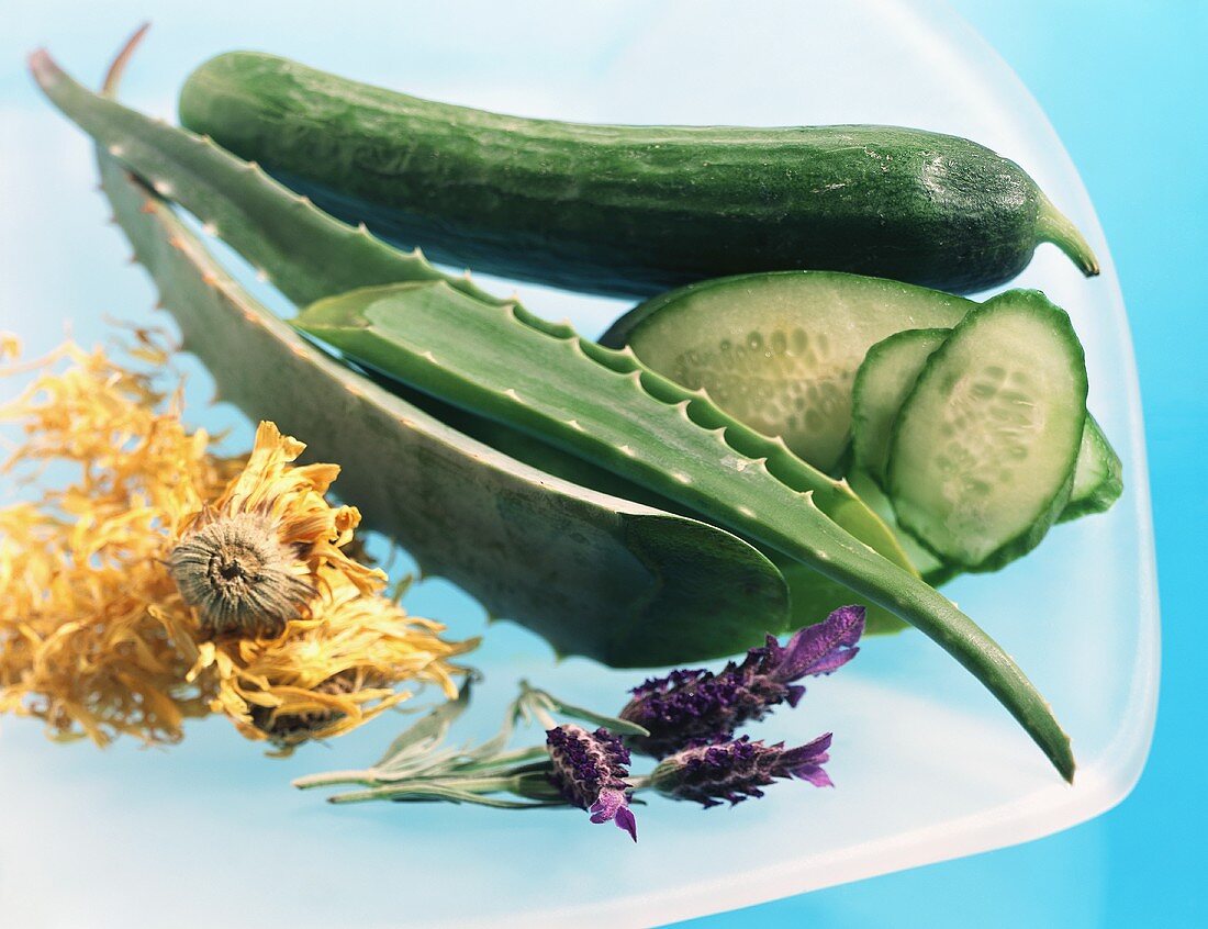 Still life with Calendula, lavender, Aloe vera & cucumbers