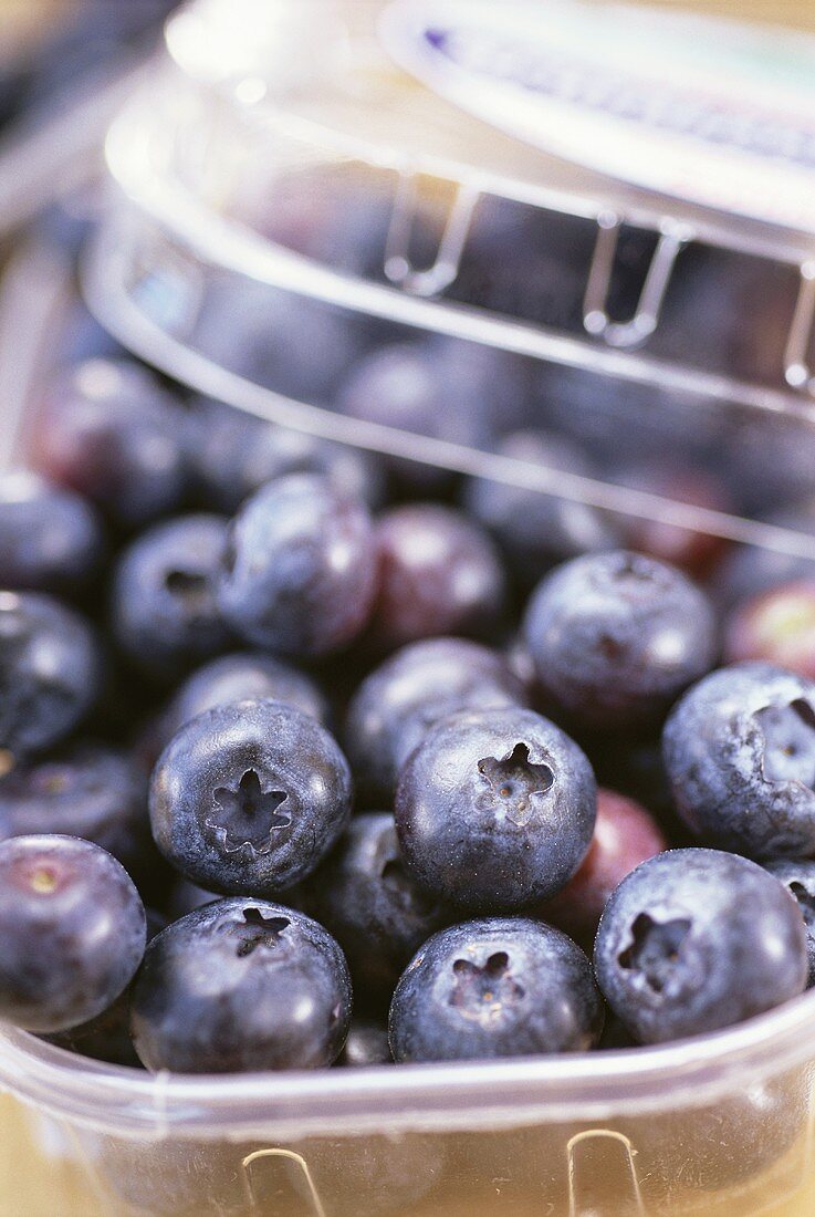 Blueberries in plastic container