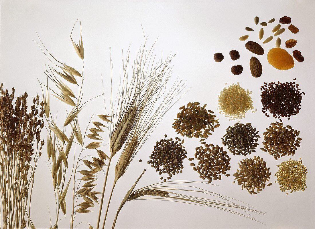 Still life with cereal ears and grains