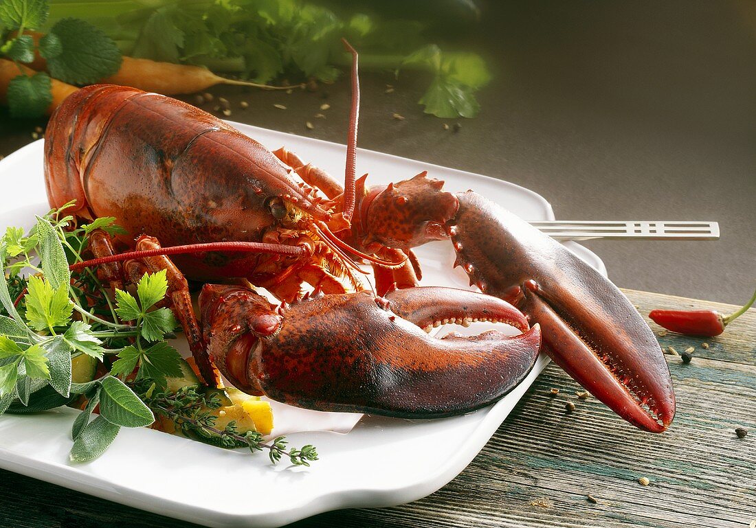 Cooked lobster with herbs