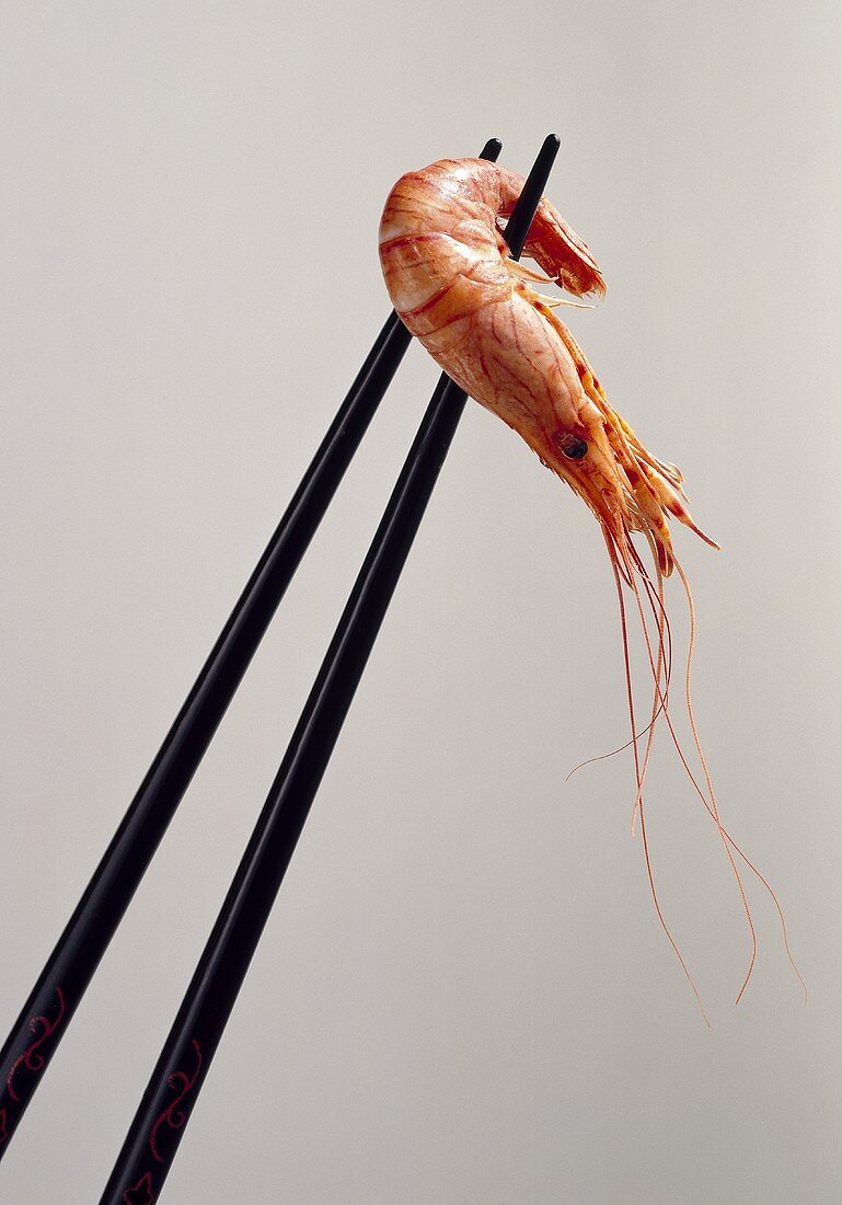 Shrimp in chopsticks