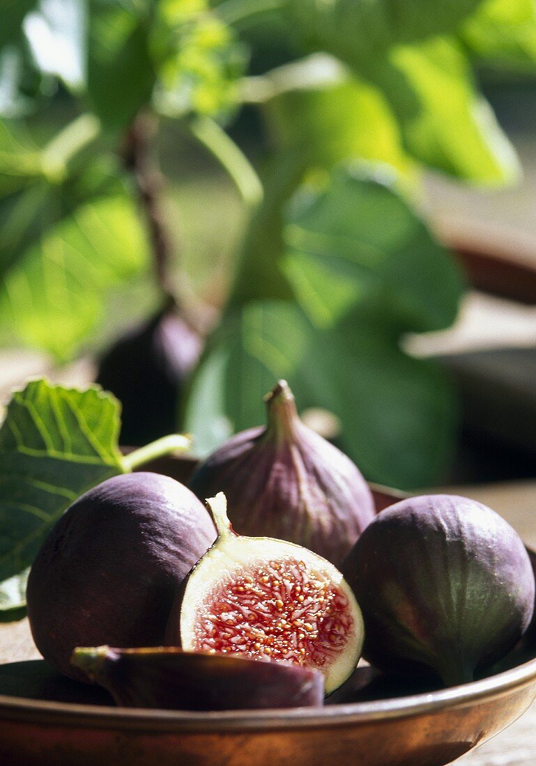 Figs in a fruit bowl