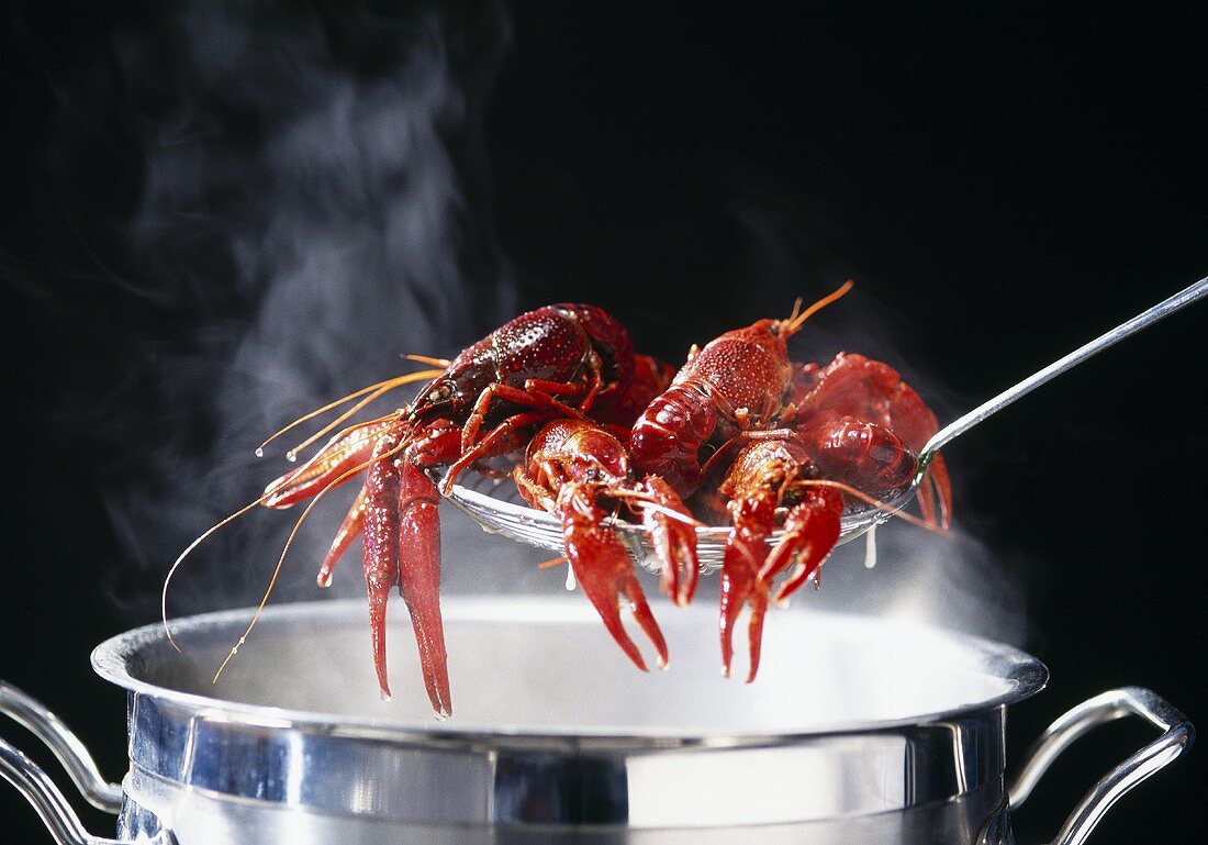 Louisiana swamp crayfish, cooked in court bouillon