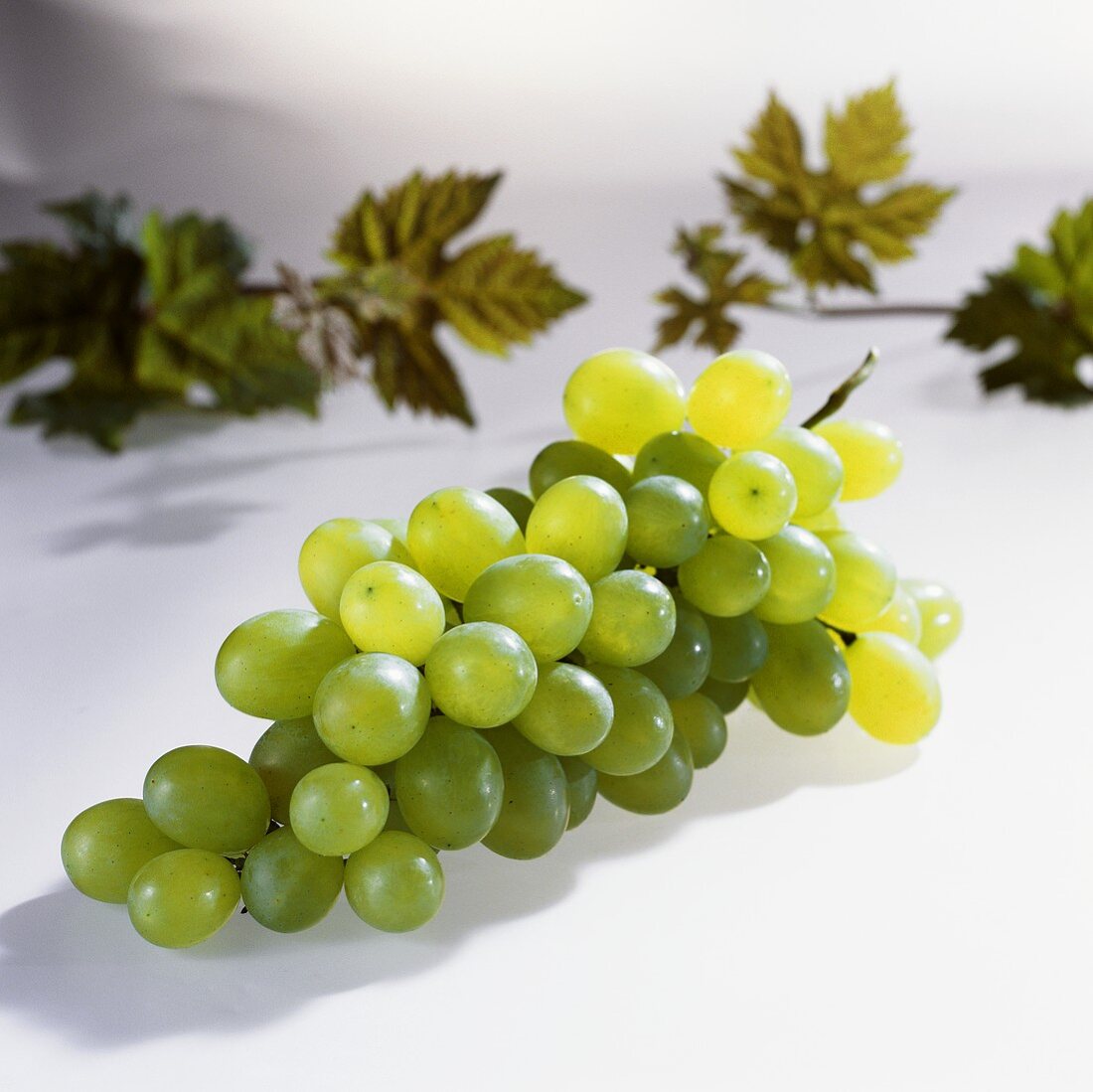 White grapes (variety: Victoria, Italy)