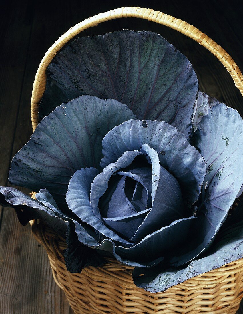 Red cabbage in basket