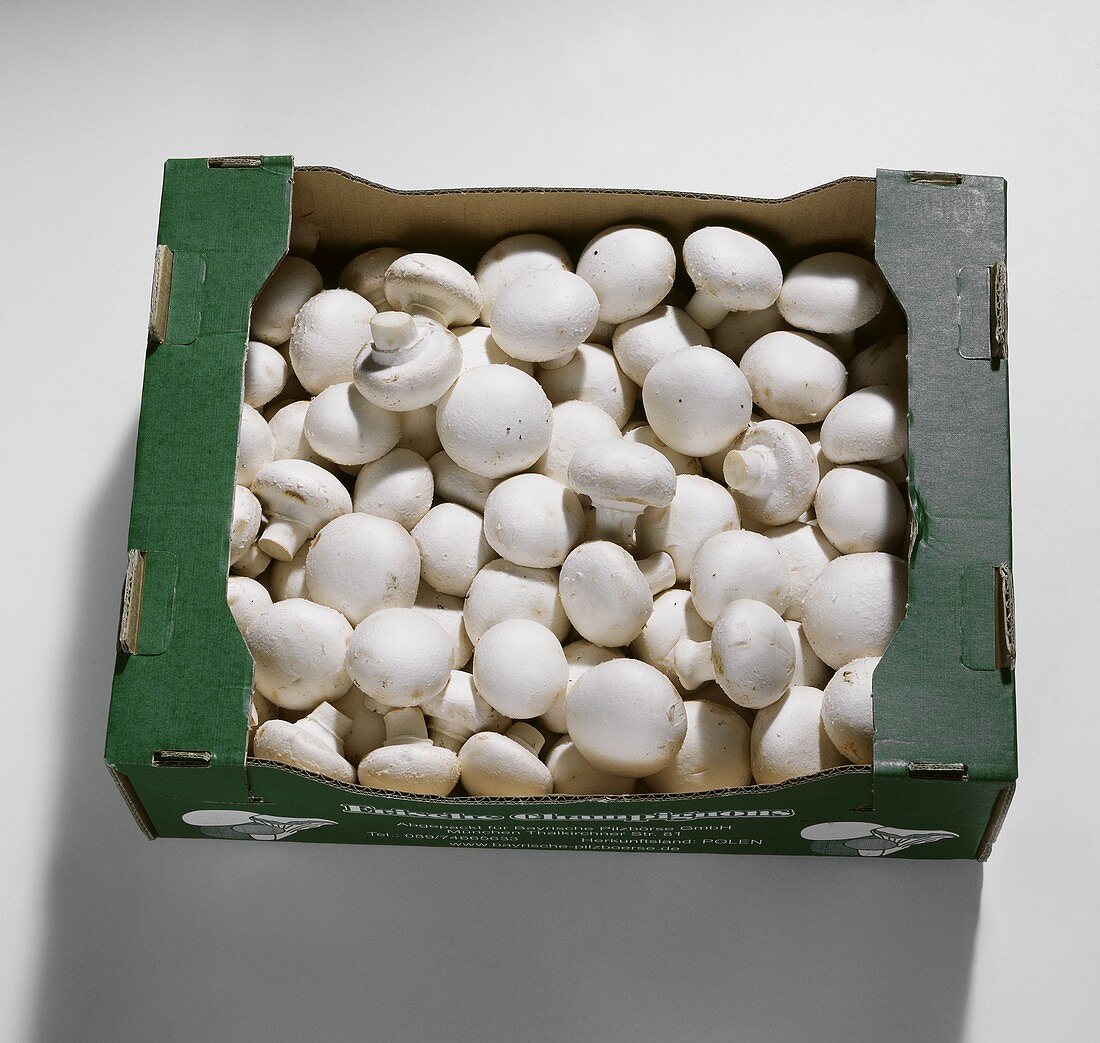 Button mushrooms in cardboard box