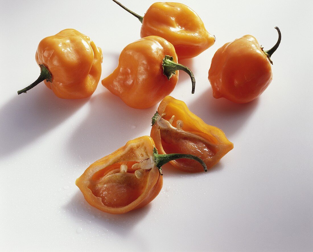 Chili peppers 'Chile habanero'
