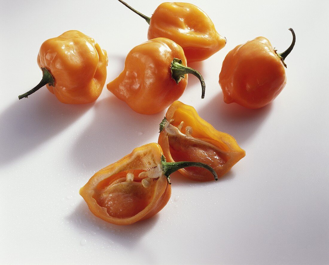 Chilischoten 'Chile habanero'