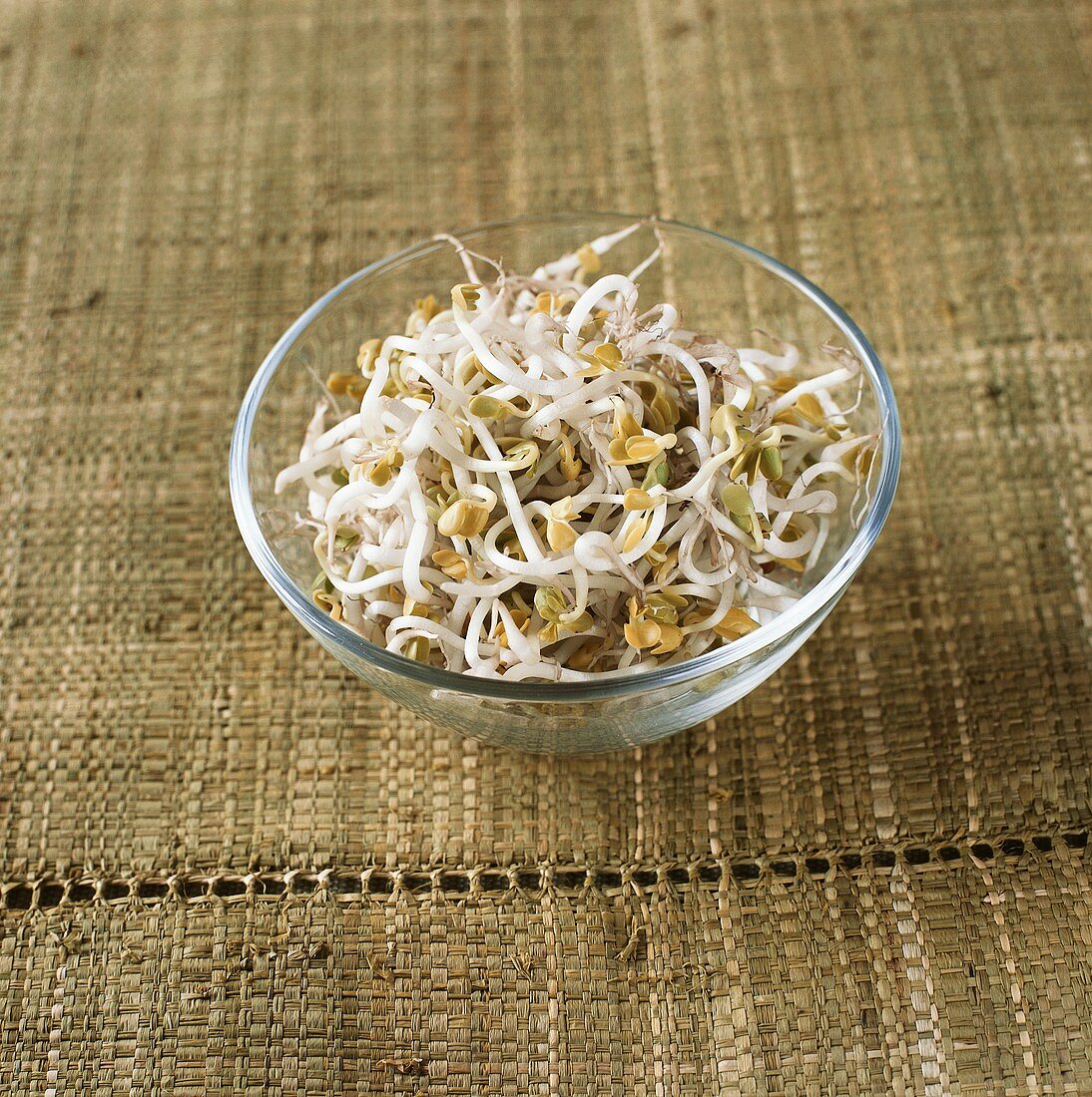 Sprouts in a small bowl