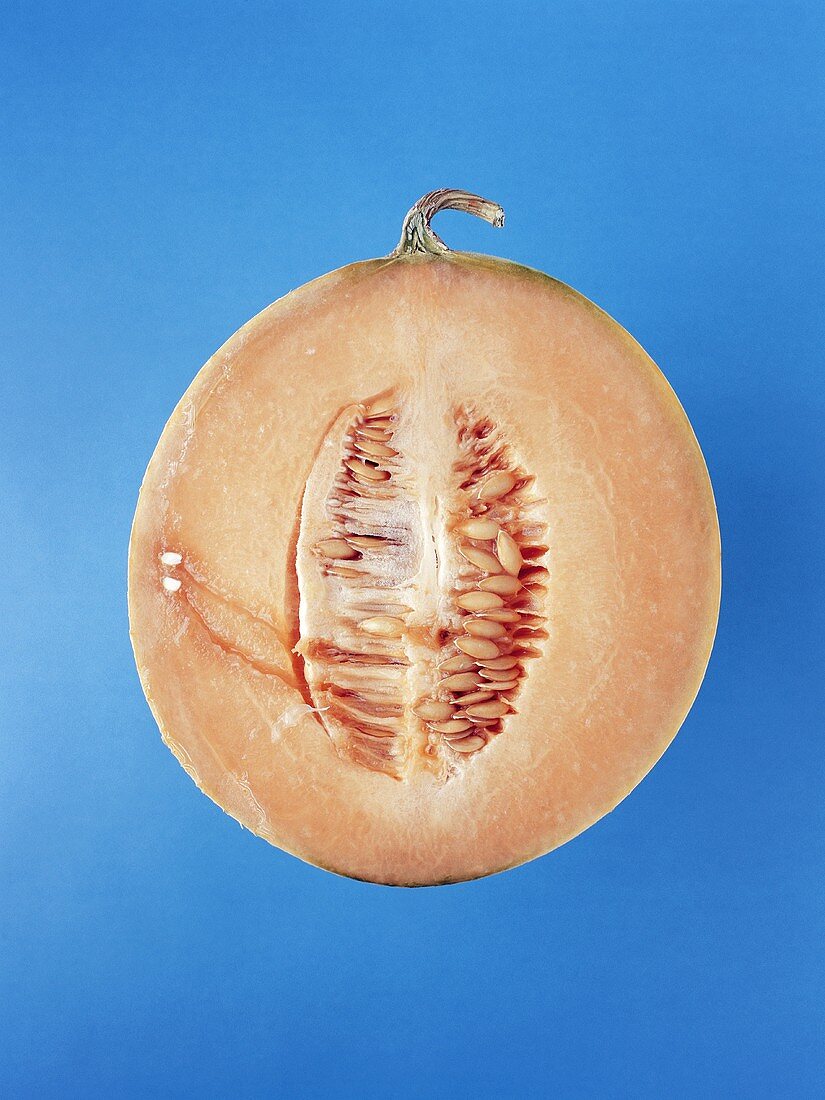 Melonenhälfte (Cavaillon-Melone)
