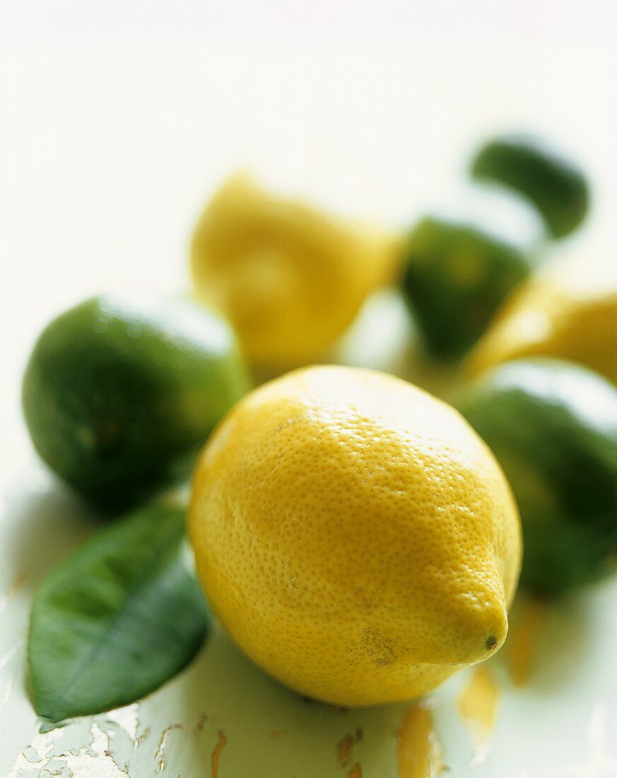 Stillleben mit Zitronen und Limetten