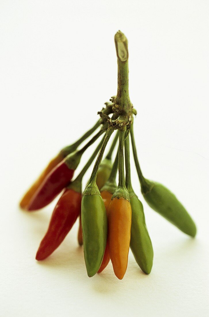 Chili peppers