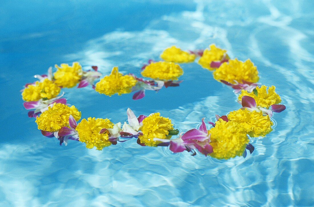 Blumenkranz auf Wasser schwimmend