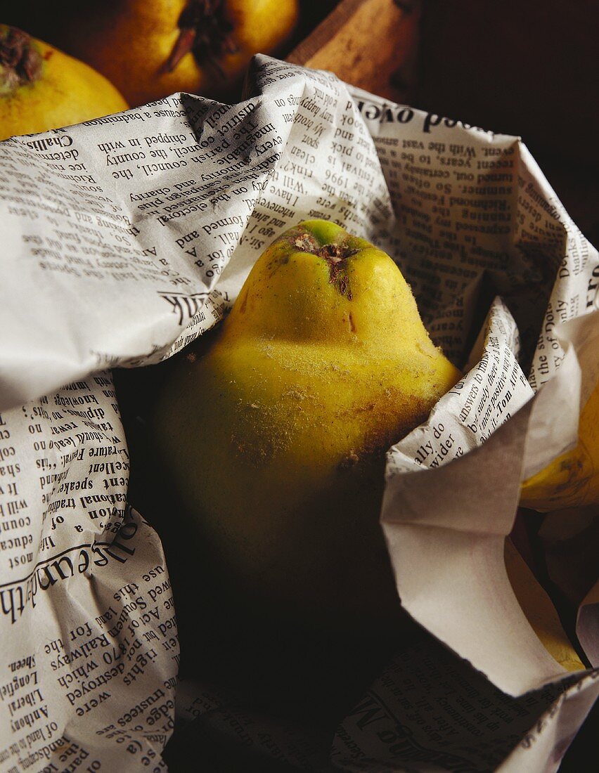 Quince wrapped in newspaper