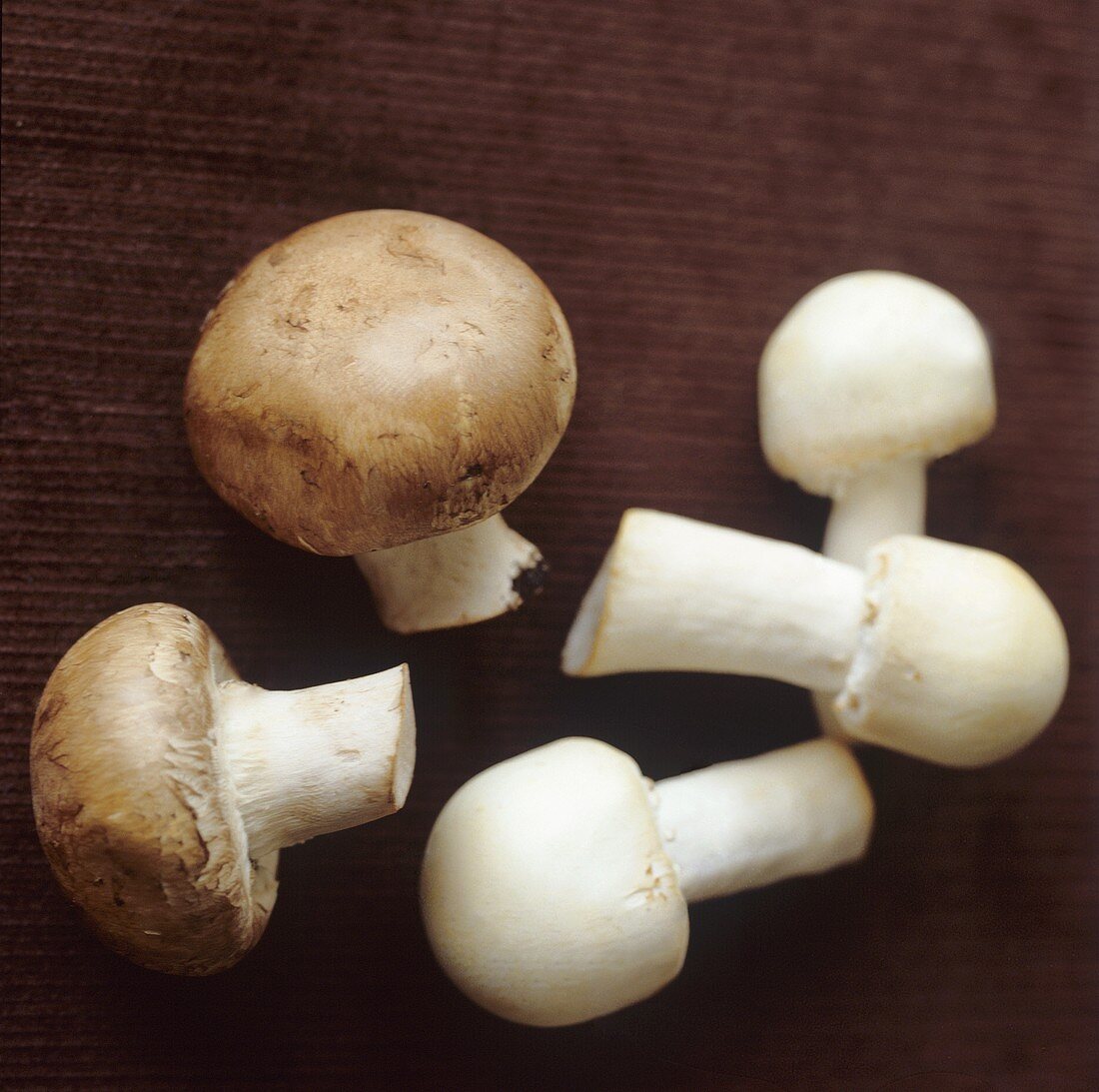 Button mushrooms and chestnut mushrooms