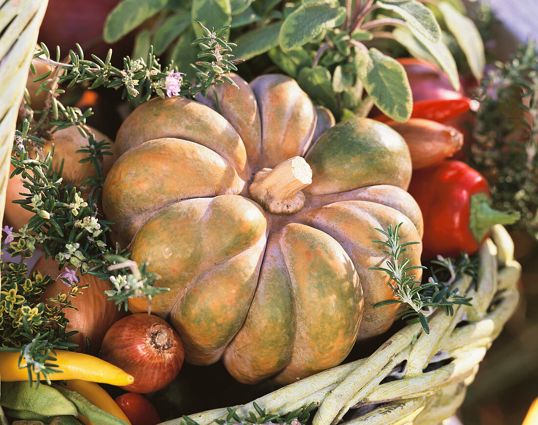 Basket with winter squash, peppers, onions and herbs