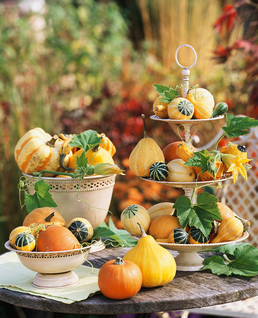 Ornamental gourds in bowls and on tiered stand