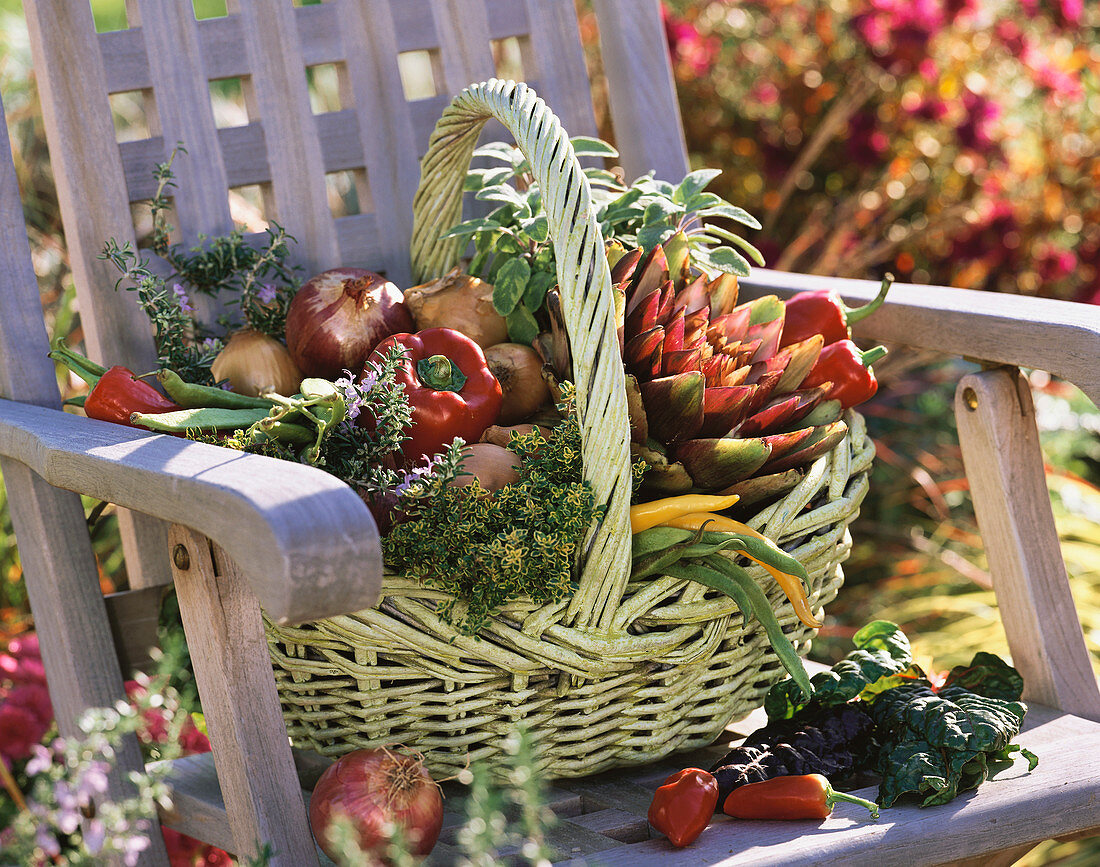 Korb mit Gemüse und Kräutern auf Gartenstuhl