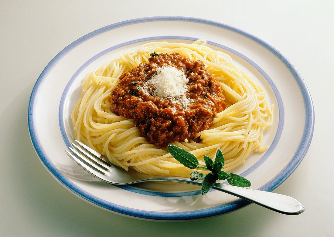 Spaghetti con ragù alla bolognese (Spaghetti with meat sauce)