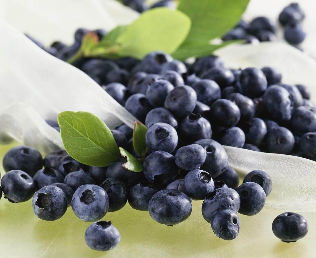 Blueberries with leaves