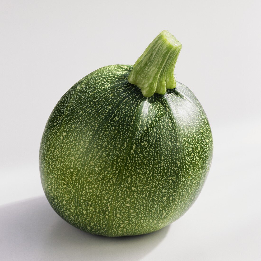 Round courgette 'Eight ball F1 hybrid'