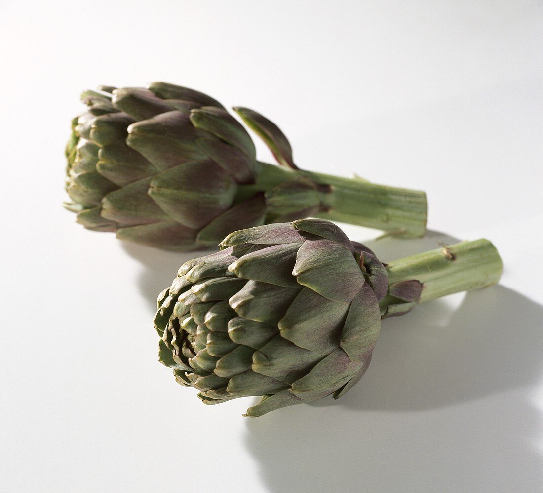 Two artichokes on white background