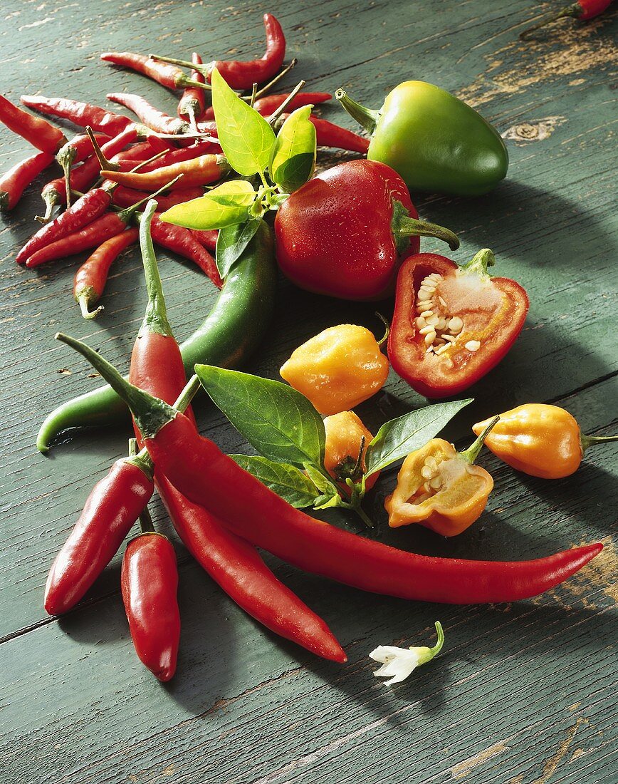 Five different types of chili peppers