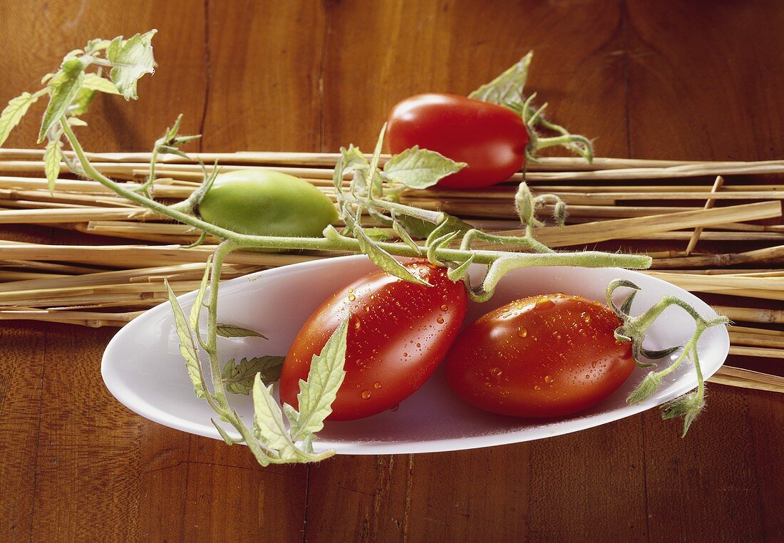 Tomaten im Schälchen mit Zweig