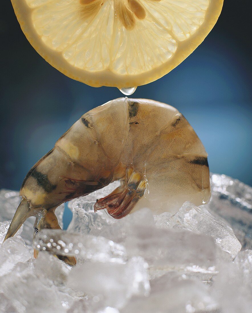 Tiger prawn on ice and a slice of lemon