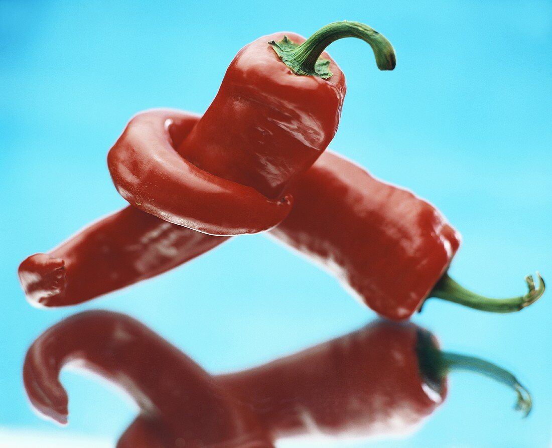 Red chili peppers against blue background
