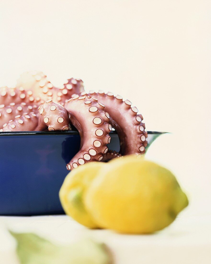 Stillleben mit Zitronen und Oktopus