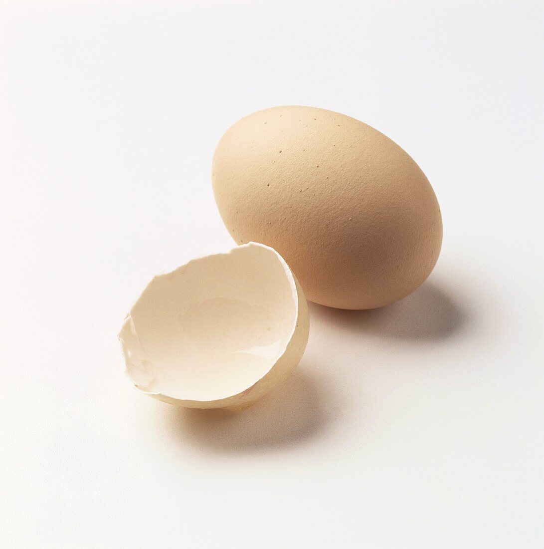 Eierschale und ein Ei