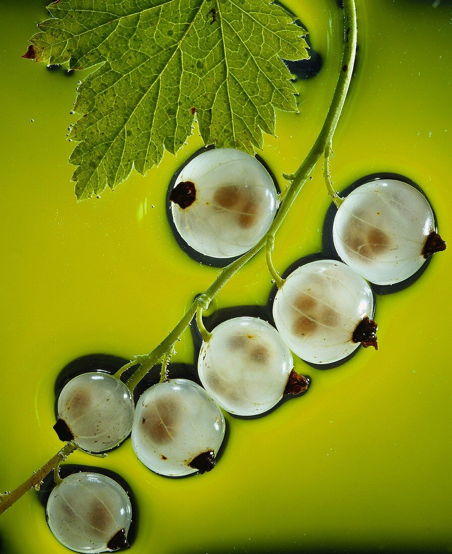 A bunch of white currants (close-up)