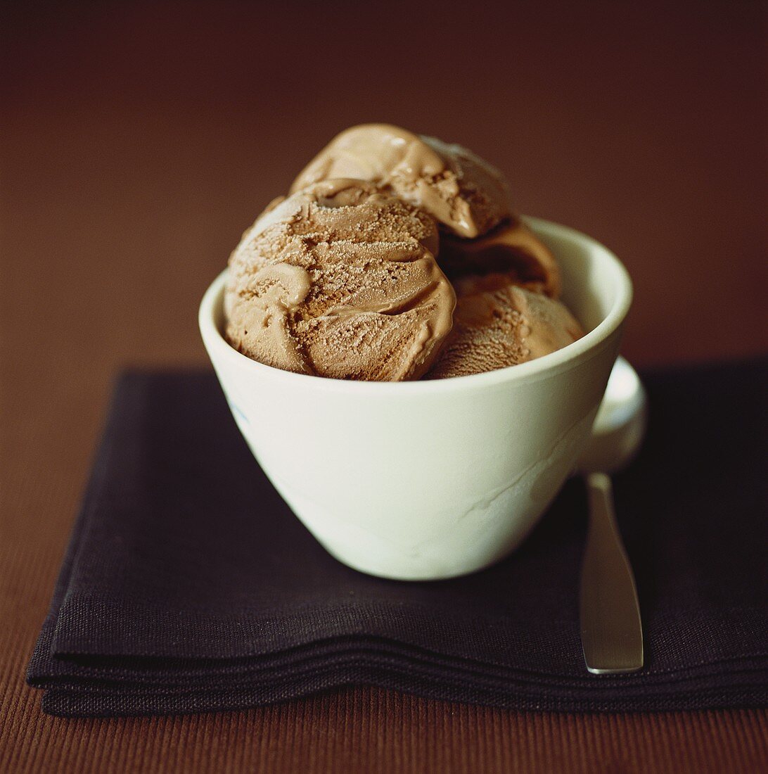 Chocolate ice cream in small white bowl