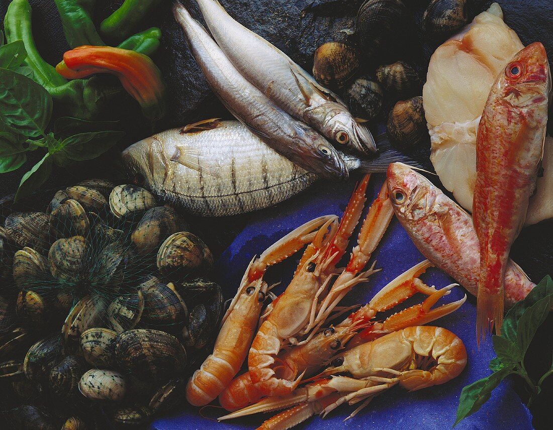 Shrimps; red snapper; mussels