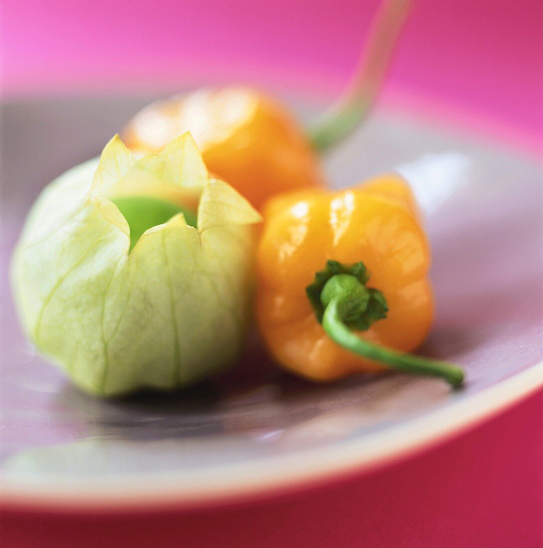 Tomatillo (grüne Tomate) und Habaneros (Chilischoten)